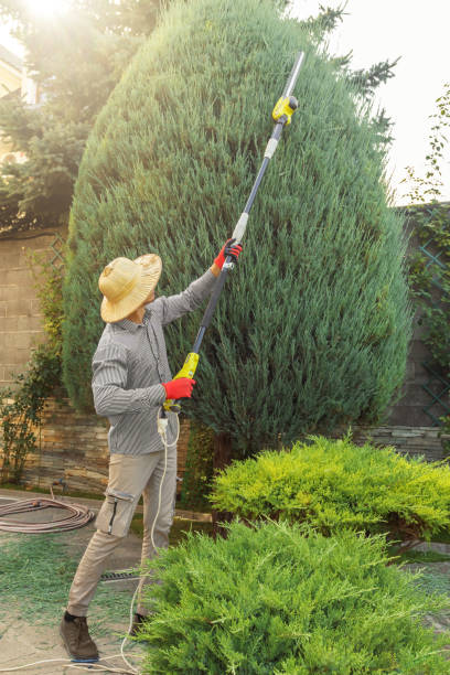 Best Seasonal Cleanup (Spring/Fall)  in Mississippi State, MS